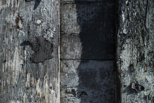 Wood and Tar Paper